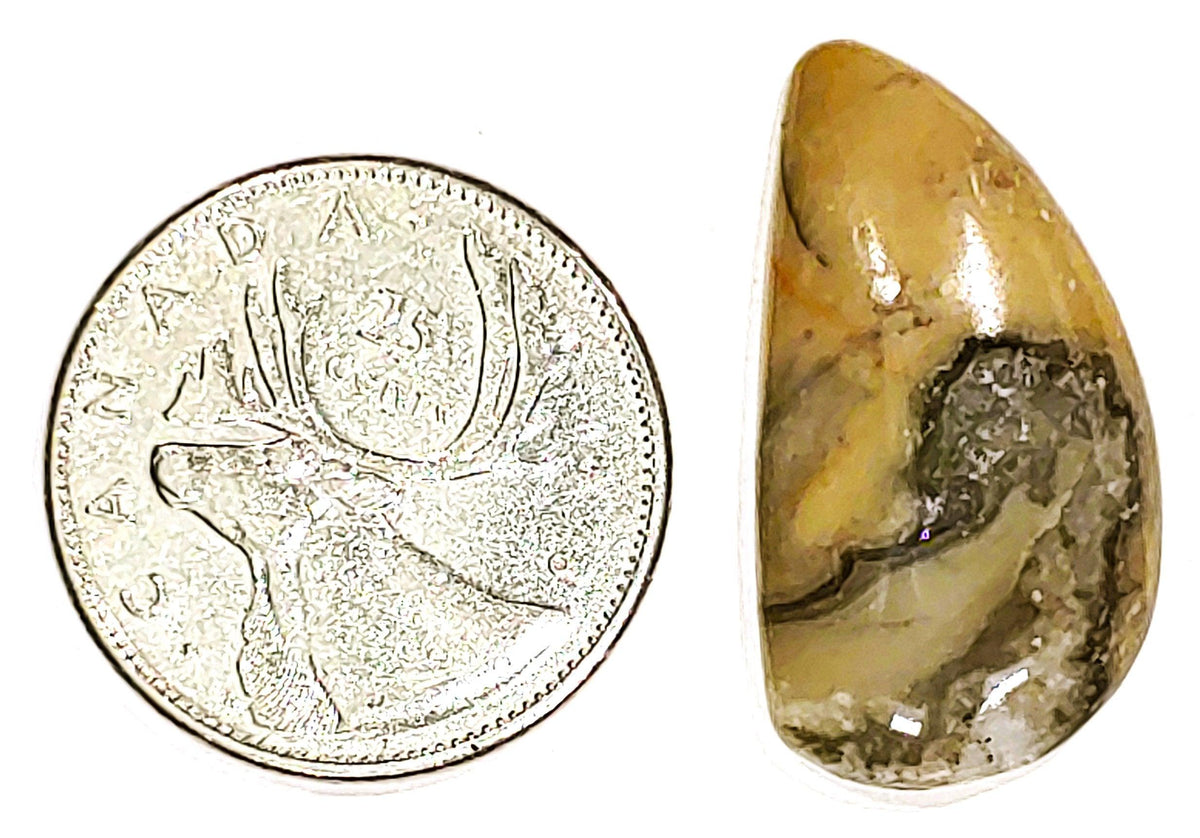 Coconite Jasper