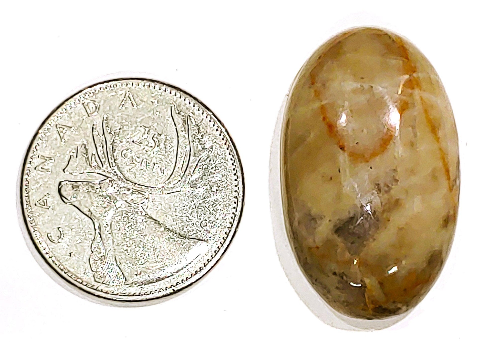 Coconite Jasper