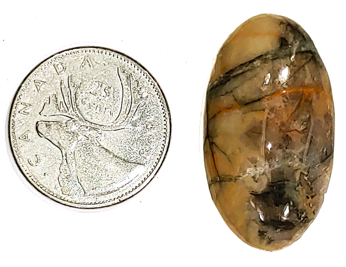 Coconite Jasper