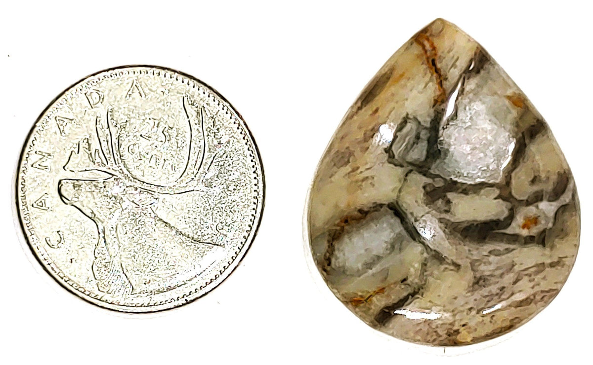 Coconite Jasper