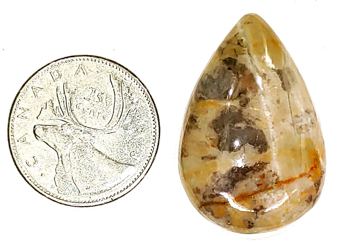 Coconite Jasper