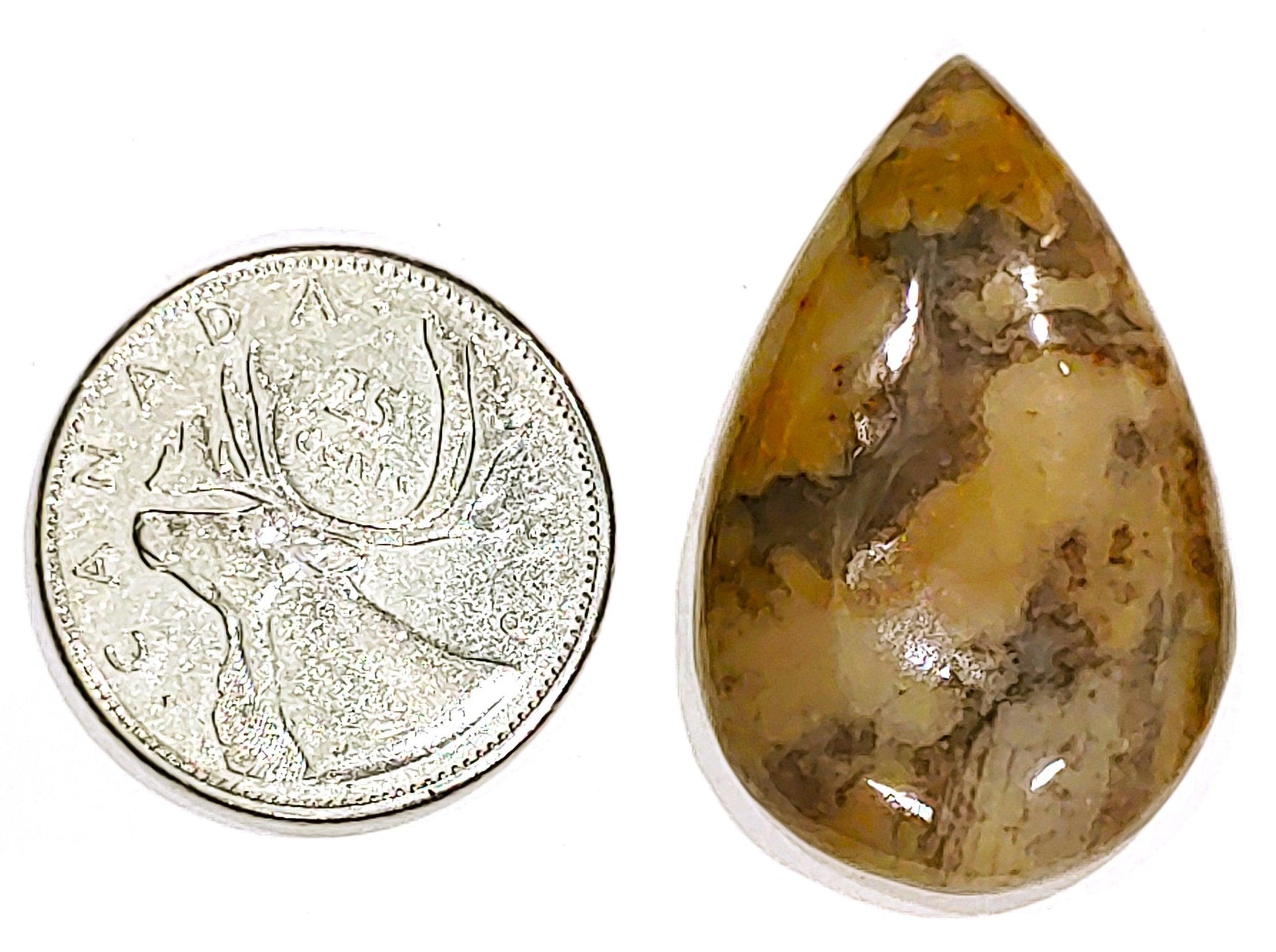 Coconite Jasper