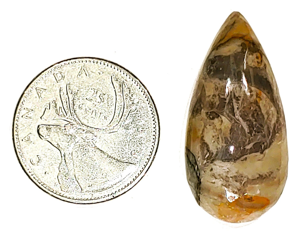 Coconite Jasper