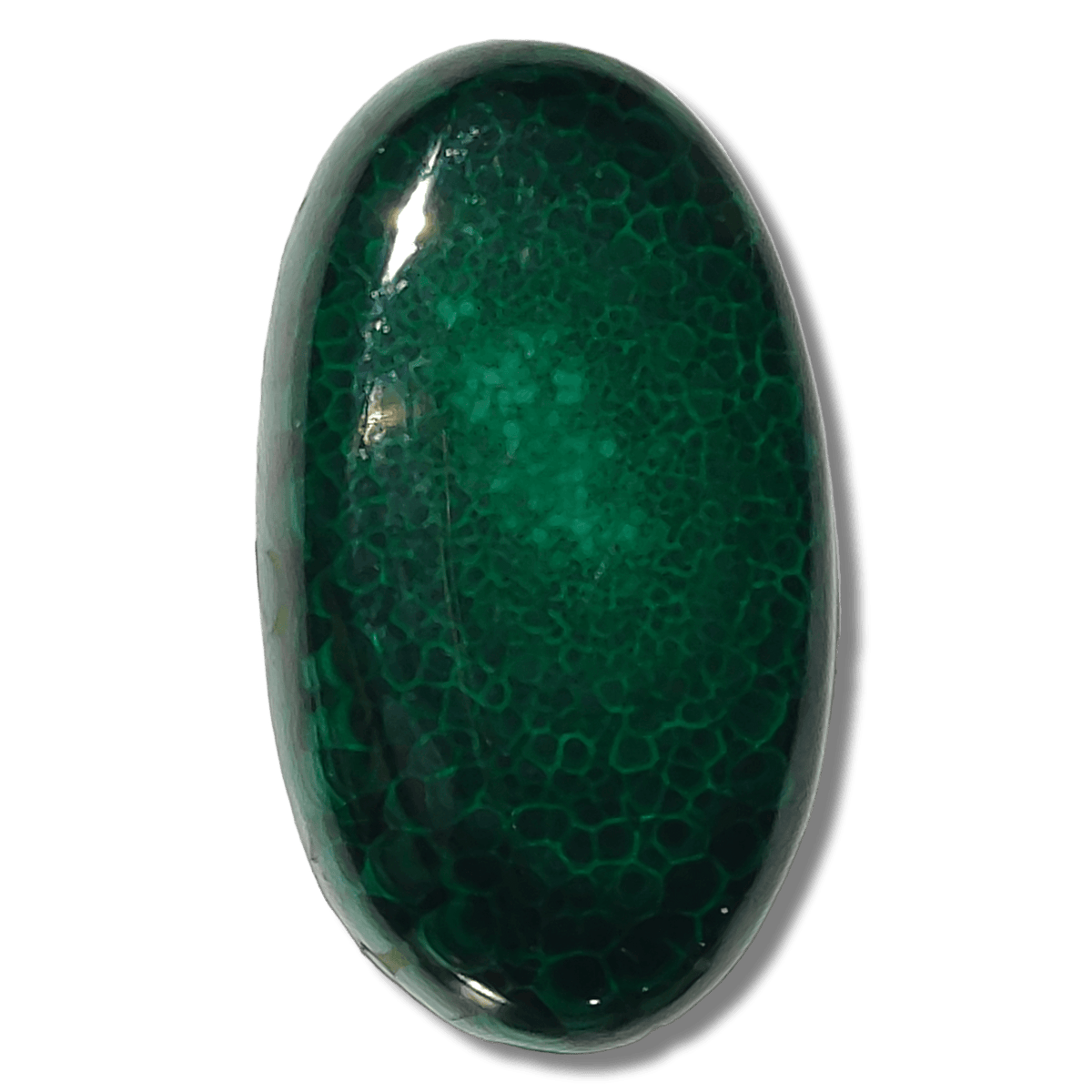 Malachite - Cabochon - PoCo Inspired