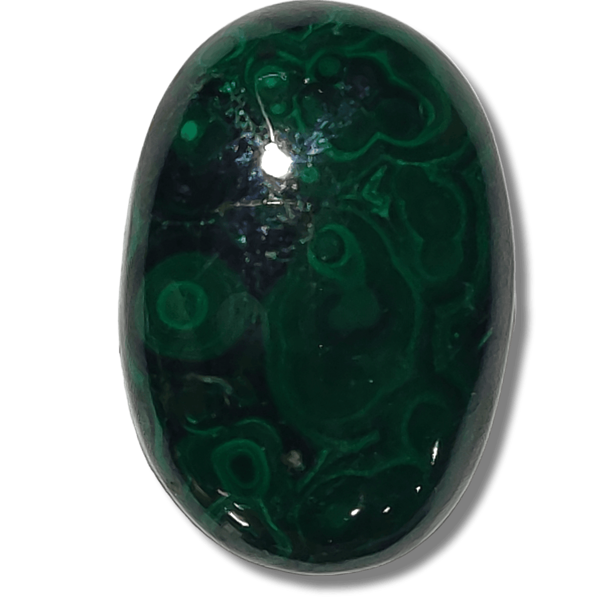 Malachite - Cabochon - PoCo Inspired
