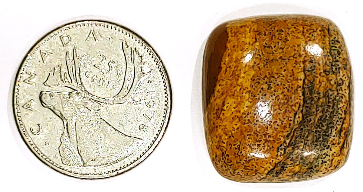 Picture Jasper - Cabochon - PoCo Inspired