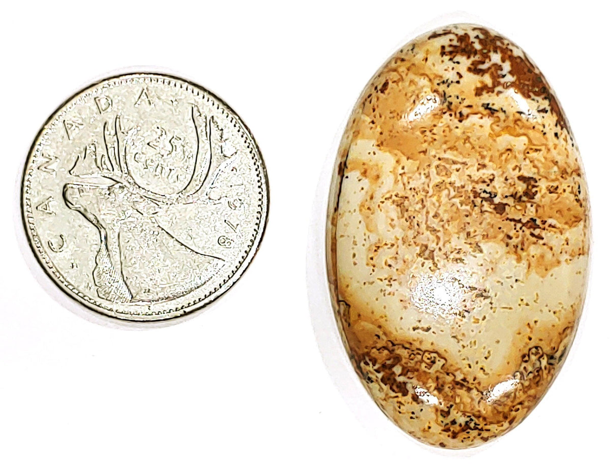 Picture Jasper - Cabochon - PoCo Inspired