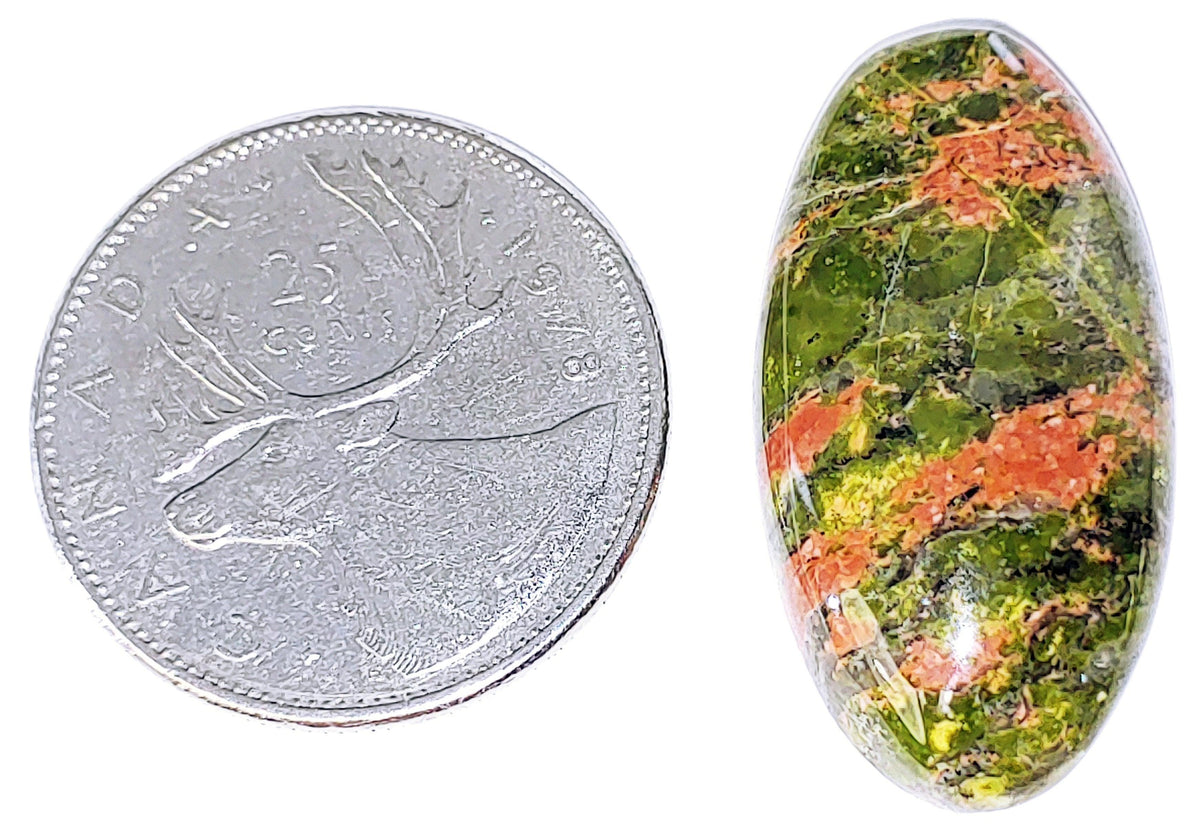 Unakite - Cabochon - PoCo Inspired